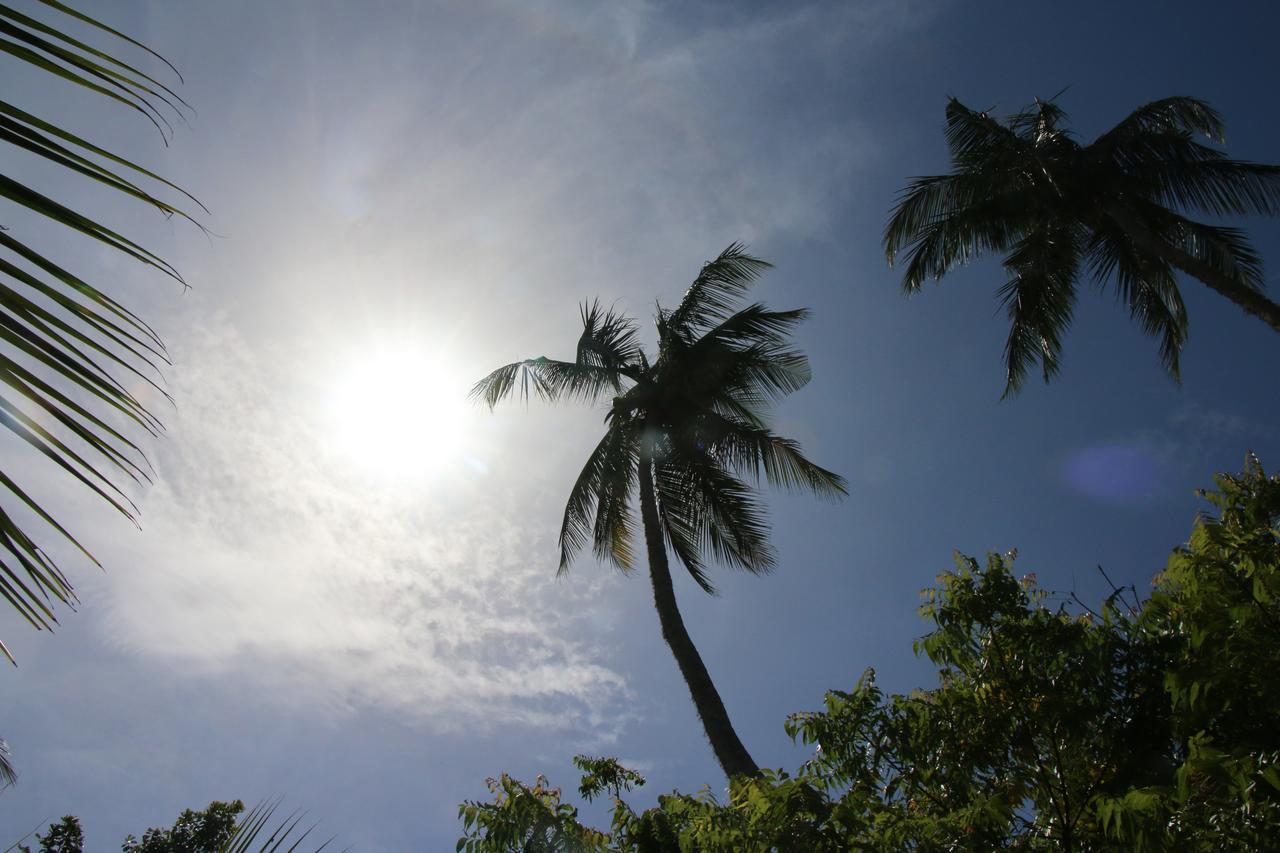 Shiva'S Beach Cabanas Tangalle Exteriér fotografie